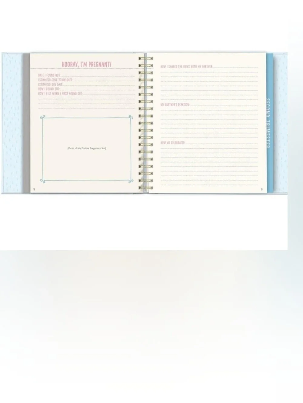 Bump for Joy! Pregnancy Journal - Blue & Pink